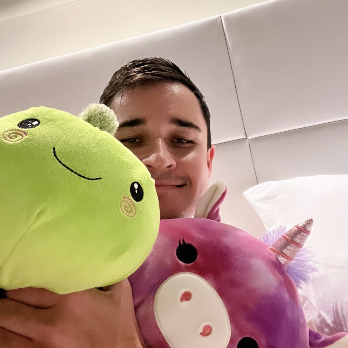 johnsummit's tweet image. i would take a bullet for my squishmallows