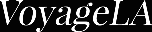 voyagela.com/interview/dail…
