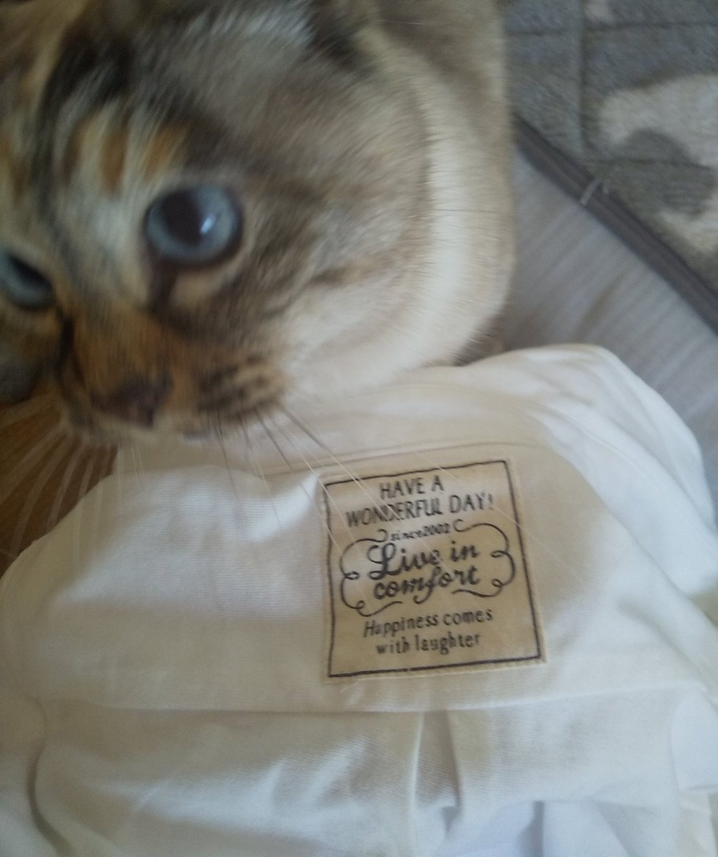 ishidakori_avn's tweet image. フェリシモのLive in comfortのシャツ、朝着るたびに襟元のタグが優しく「今日もいい日になるぜっ」と送り出してくれる。
フェリシモ好きだなぁ、ありがとう。
#フェリシモ　#Liveincomfort