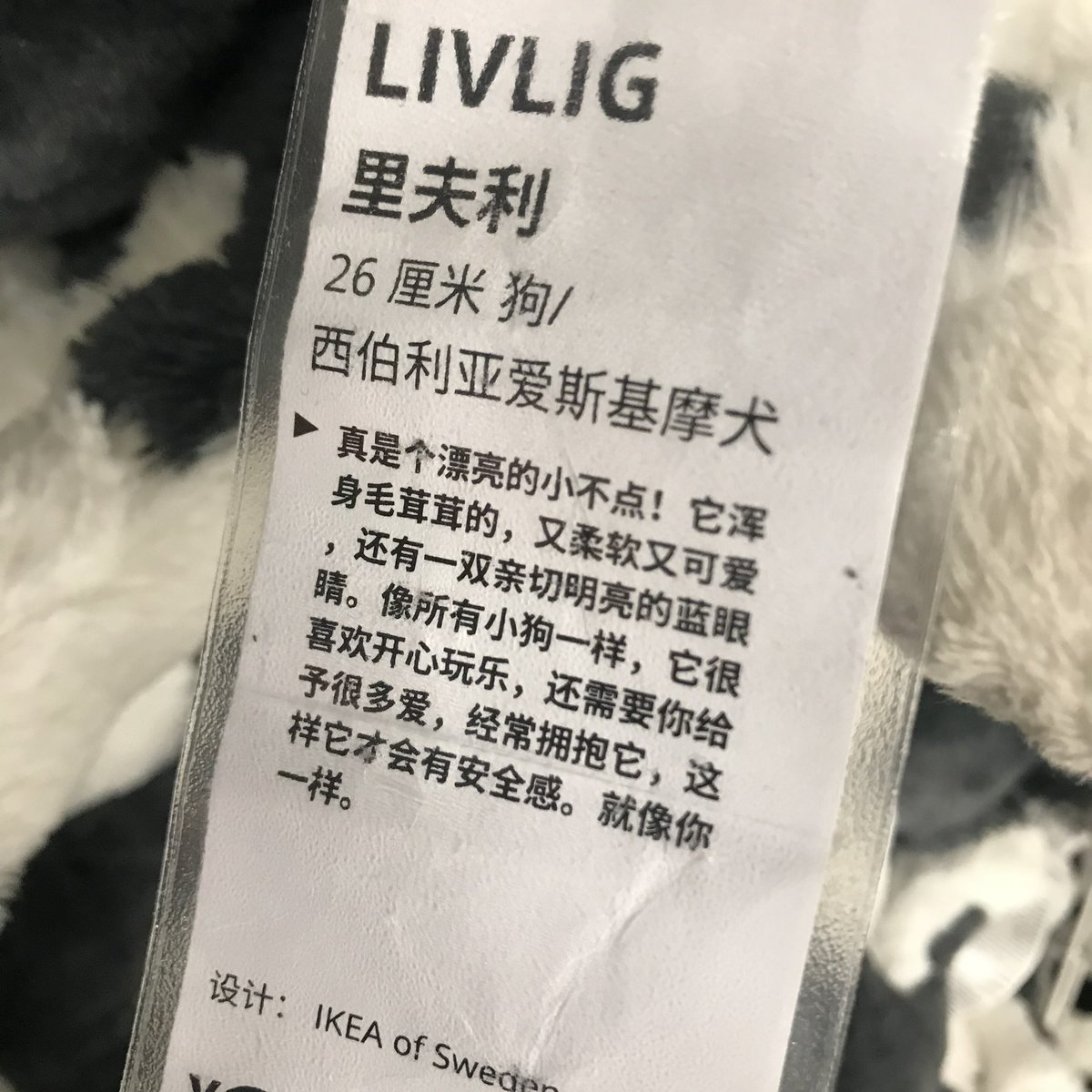 谁来把我买走 https://t.co/Uy9UhrfQLS