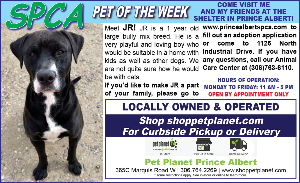 PAShopper's tweet image. SPCA - Pet of the Week
princealbertshopper.com/spca
#SPCA #PetoftheWeek #princealbertshopper
