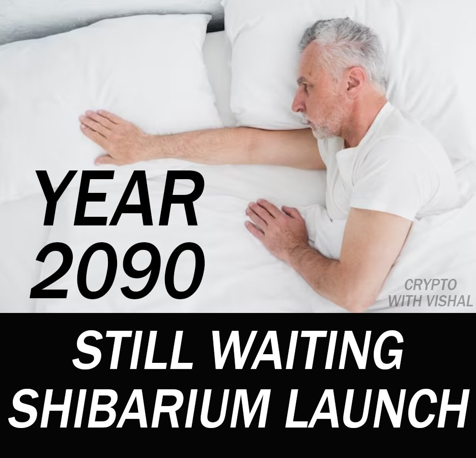 AMARNAT02116831's tweet photo. @Shibtoken @mvshib https://t.co/RahnM08RmW