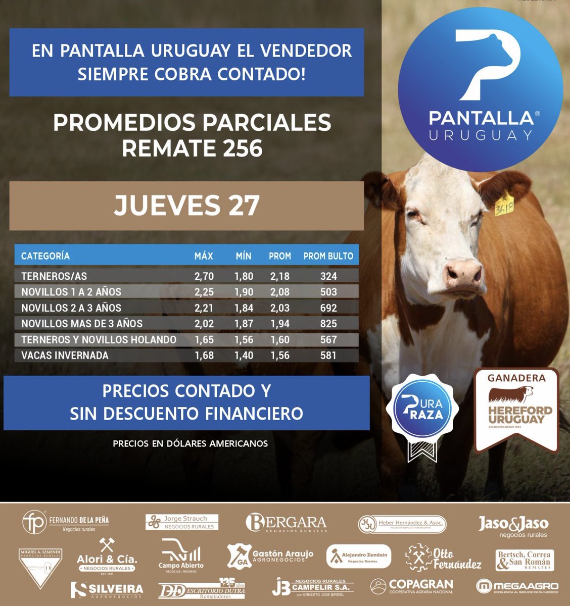 PantallaUruguay's tweet photo. Así cerramos el segundo día de esta triple jornada de Ganadera @hereforduy. Mañana Viernes 28 continuamos con más del #Remate256 de @PantallaUruguay.
Pantalla Uruguay, ¡TODO GANADO!
@bseuruguay @BoehringerSA @ItauUruguay https://t.co/mjhfAKWcPk