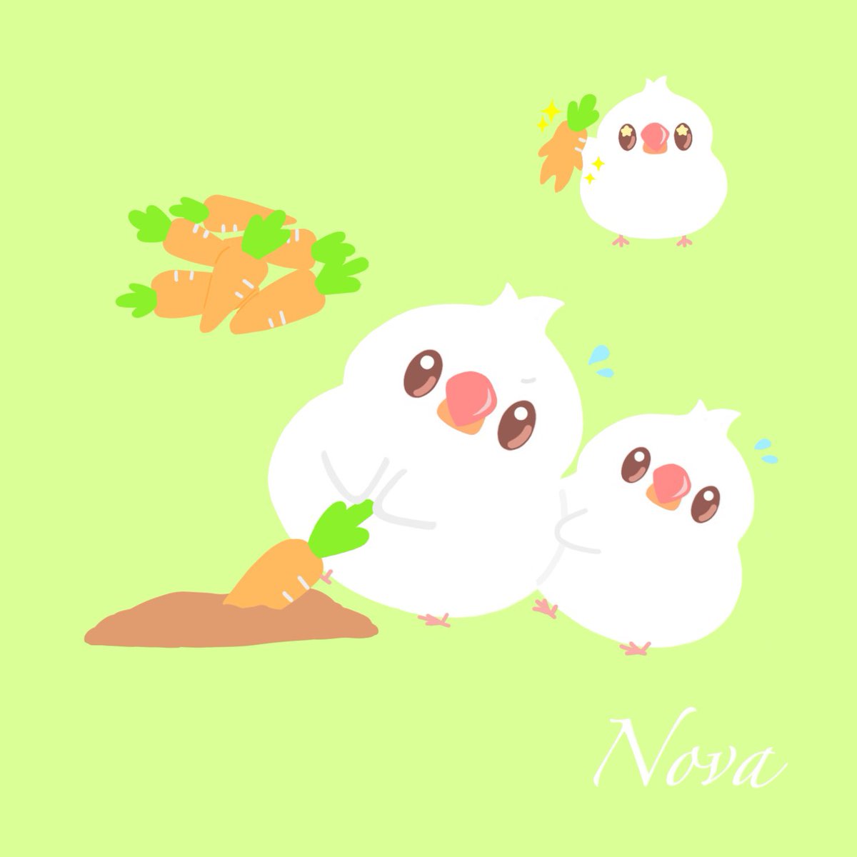 🐥gmです🐥

週末だ〜💐
今日もいい天気で最高☀️

暑くなりそうなので皆さんも水分補給しっかりと🙌

今日も素敵な一日をお過ごしください🌈