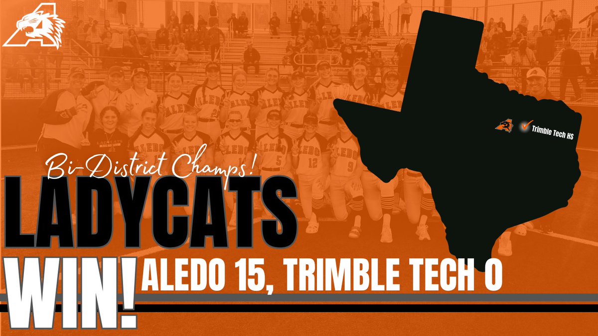 Ladycat Softball tweet media