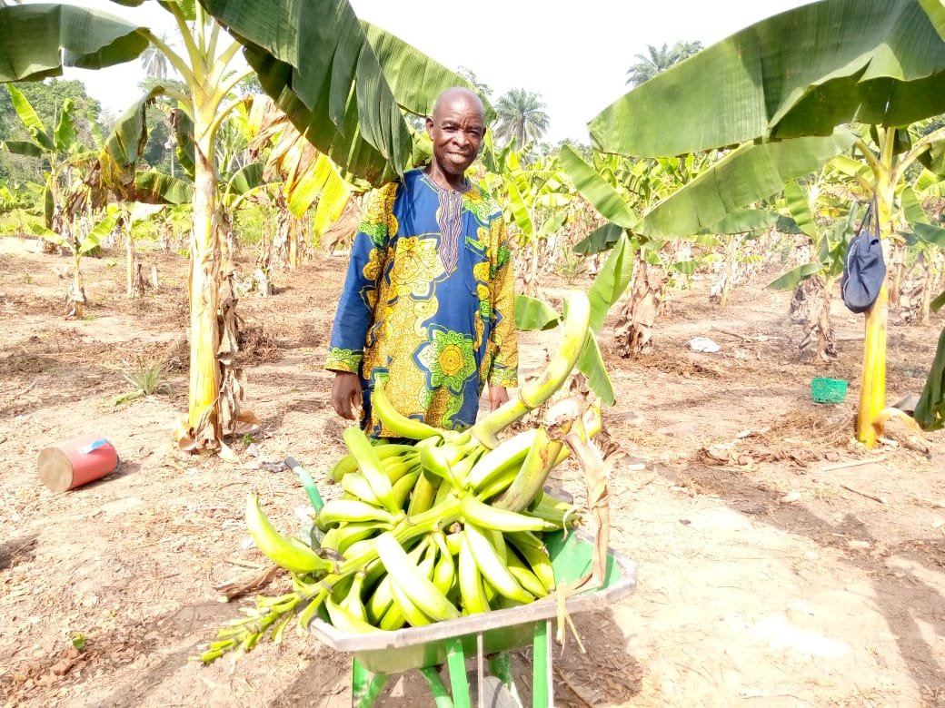 IrriTech tweet media