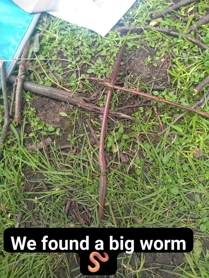 BailPreschool's tweet photo. We had a lovely morning at the park!

We put up a tent, had a picnic for snack time, played in the trees and used the climbing equipment.

One little boy made a little fire from sticks and we found a huge worm! 🪱

#bailgatepreschool  #earlylearning #outsideplay #outsidelearning https://t.co/TuzWcYxuzm