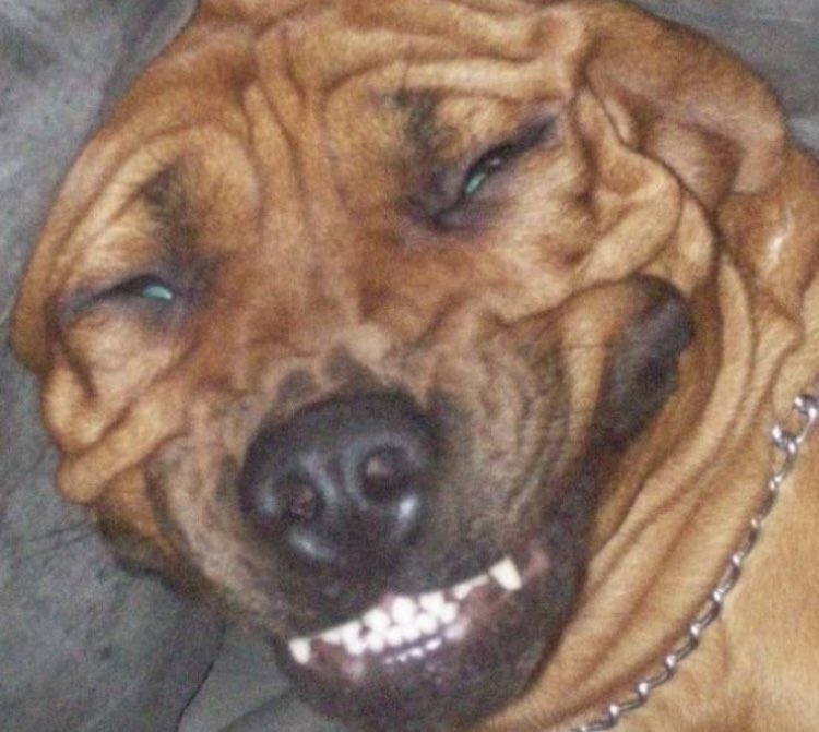 Dernier streaming professionnel de la semaine, on donne tout et on se met en full booster sur Dead island 2 en slip de bagarre 🐸

Twitch.tv/Zefeks
Twitch.tv/Zefeks
Twitch.tv/Zefeks