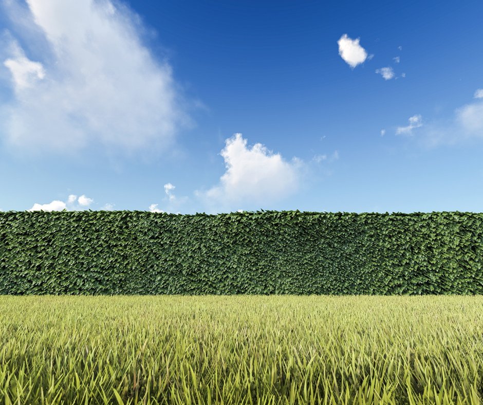 INRAE_France's tweet photo. Saviez-vous que les haies jouaient autant de rôles ? 🤔

👉structurent le paysage et délimitent les parcelles
👉protègent les cultures
👉source de bois d’œuvre et de chauffage
👉participent à la fixation du carbone et au cycle de l'eau

Plus d'infos : https://t.co/IWUkyFE9mF https://t.co/RLNGAIhBgV