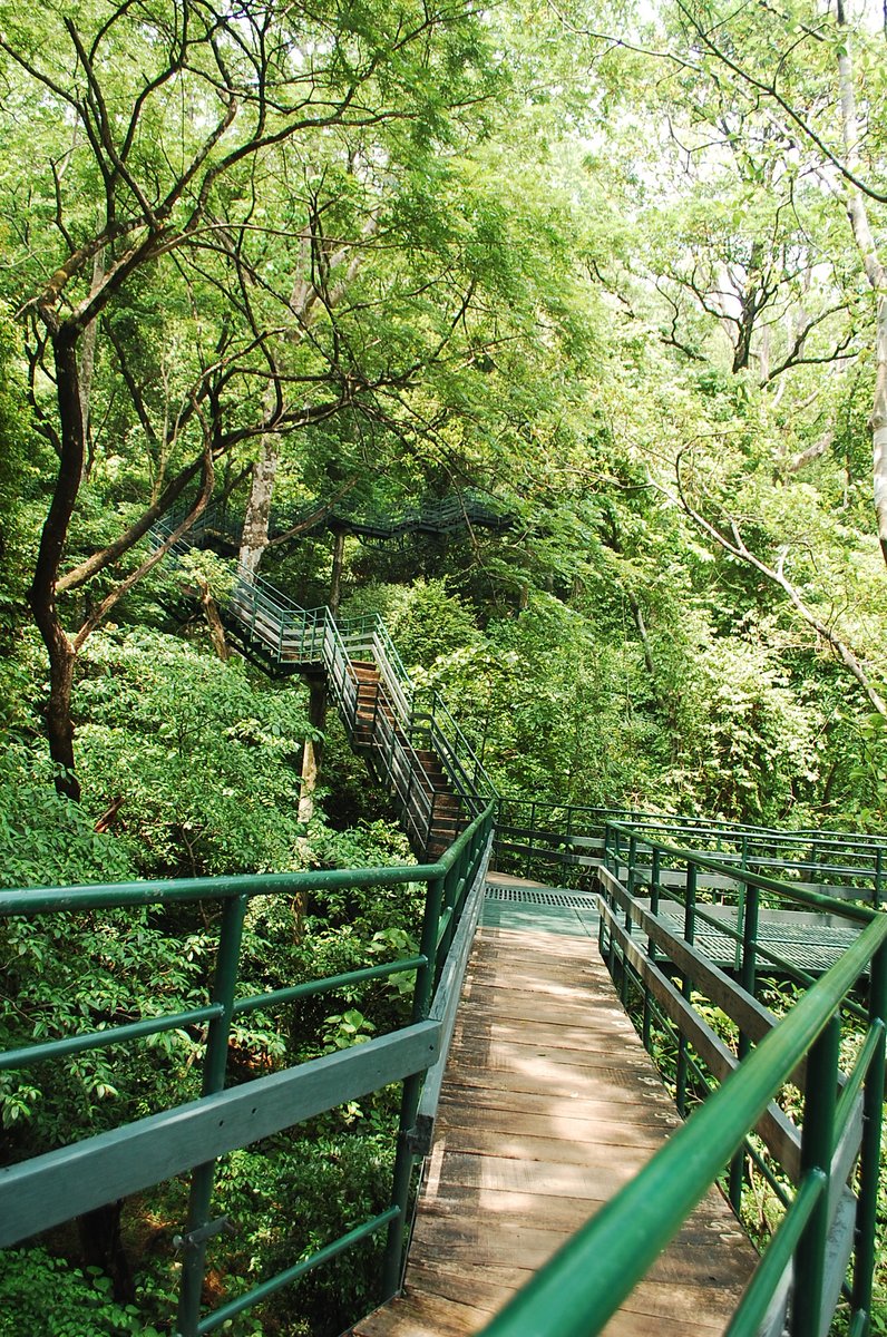 ThenmalaE's tweet photo. Welcome to Thenmala Ecotourism
For bookings and inquiries
𝖳𝖾𝗅: 𝟢𝟦𝟩𝟧-𝟤𝟥𝟦𝟦𝟪𝟢𝟢 𝖬𝗈𝖻 : 𝟫𝟦𝟫𝟨𝟥𝟦𝟦𝟪𝟢𝟢
𝖤𝗆𝖺𝗂𝗅: 𝗂𝗇𝖿𝗈@𝗍𝗁𝖾𝗇𝗆𝖺𝗅𝖺𝖾𝖼𝗈𝗍𝗈𝗎𝗋𝗂𝗌𝗆.𝖼𝗈𝗆 𝖶𝖾𝖻 :
https://t.co/v3572gH9Aq https://t.co/UQQJ6pO6BR