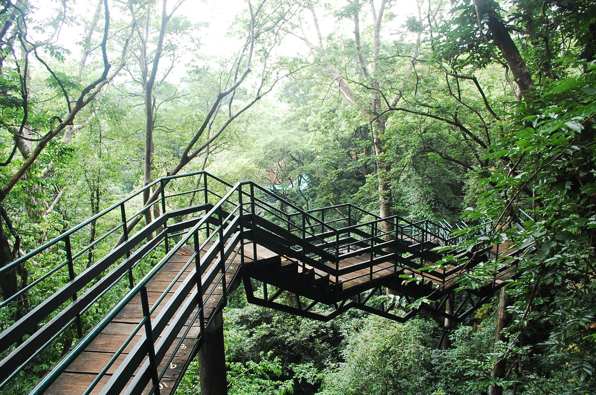 ThenmalaE's tweet photo. Welcome to Thenmala Ecotourism
For bookings and inquiries
𝖳𝖾𝗅: 𝟢𝟦𝟩𝟧-𝟤𝟥𝟦𝟦𝟪𝟢𝟢 𝖬𝗈𝖻 : 𝟫𝟦𝟫𝟨𝟥𝟦𝟦𝟪𝟢𝟢
𝖤𝗆𝖺𝗂𝗅: 𝗂𝗇𝖿𝗈@𝗍𝗁𝖾𝗇𝗆𝖺𝗅𝖺𝖾𝖼𝗈𝗍𝗈𝗎𝗋𝗂𝗌𝗆.𝖼𝗈𝗆 𝖶𝖾𝖻 :
https://t.co/v3572gH9Aq https://t.co/UQQJ6pO6BR