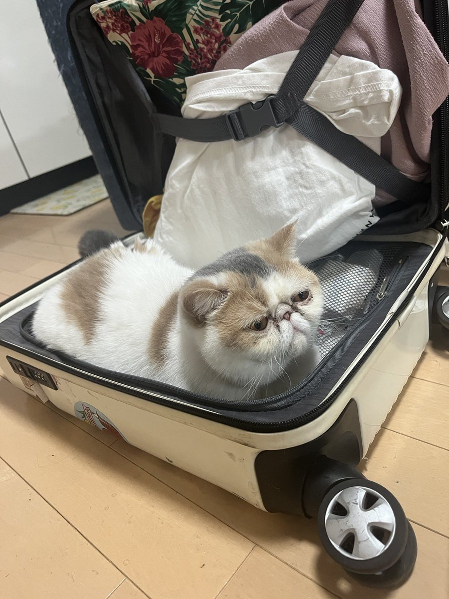 荷物ぴったりつまった