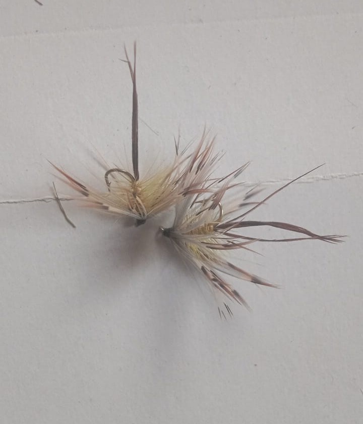 MaxedVentures's tweet photo. Thinking of some business? Why not open an account with Amazon FBA repack rebrand and sell your own brand of hand tied FISHING FLIES
#Zidane
#IStandWithSallGrover
#Geraldo
#Casemiro
#Nebraska
#Malacia
#ELONLIKESFEMBOYS https://t.co/6QErG6kC6w