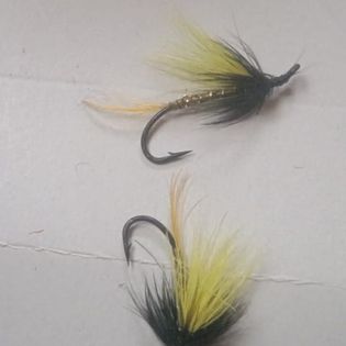 MaxedVentures's tweet photo. Thinking of some business? Why not open an account with Amazon FBA repack rebrand and sell your own brand of hand tied FISHING FLIES
#Zidane
#IStandWithSallGrover
#Geraldo
#Casemiro
#Nebraska
#Malacia
#ELONLIKESFEMBOYS https://t.co/6QErG6kC6w