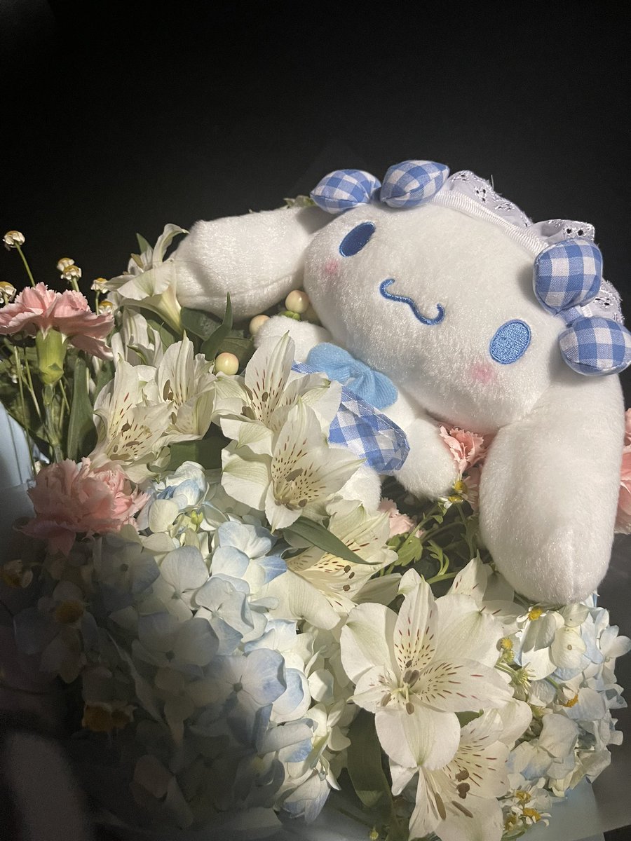 ChataFU_'s tweet photo. @pokimanelol @mycatmisu @iGumdrop Creds to my friend @ruby__fleur !!! 
Cinnamoroll was gifted to me for my bday ❤️ https://t.co/Aq5NaJ1evR