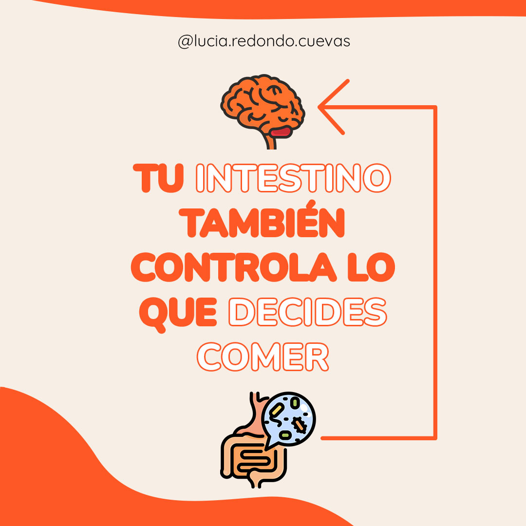 RedondoCuevas's tweet photo. ¿Te ha pasado que cuando estás peor de la barriga solo te apetece comer bollería y otros dulces?
Es una de las relaciones del eje intestino-cerebro🧠 y creo que es importante entenderlo, para COMPRENDERNOS.
#SIBO #disbiosis #comer #hinchazon #saluddigestiva #saludintegrativa https://t.co/uEPK0Uw7gW