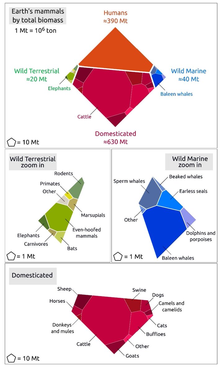 Miguel Clavero tweet media
