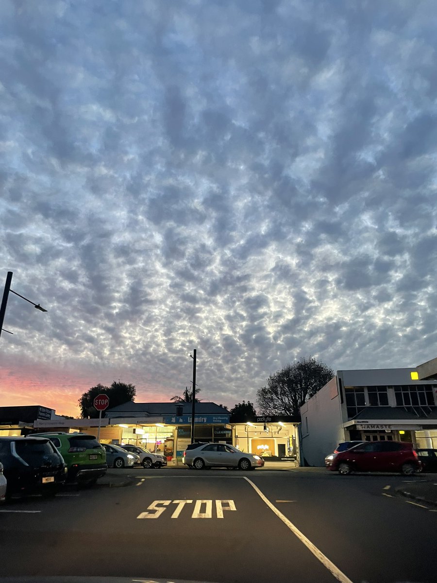 Nileema Allerston निलीमा अल्लेरस्तों tweet media