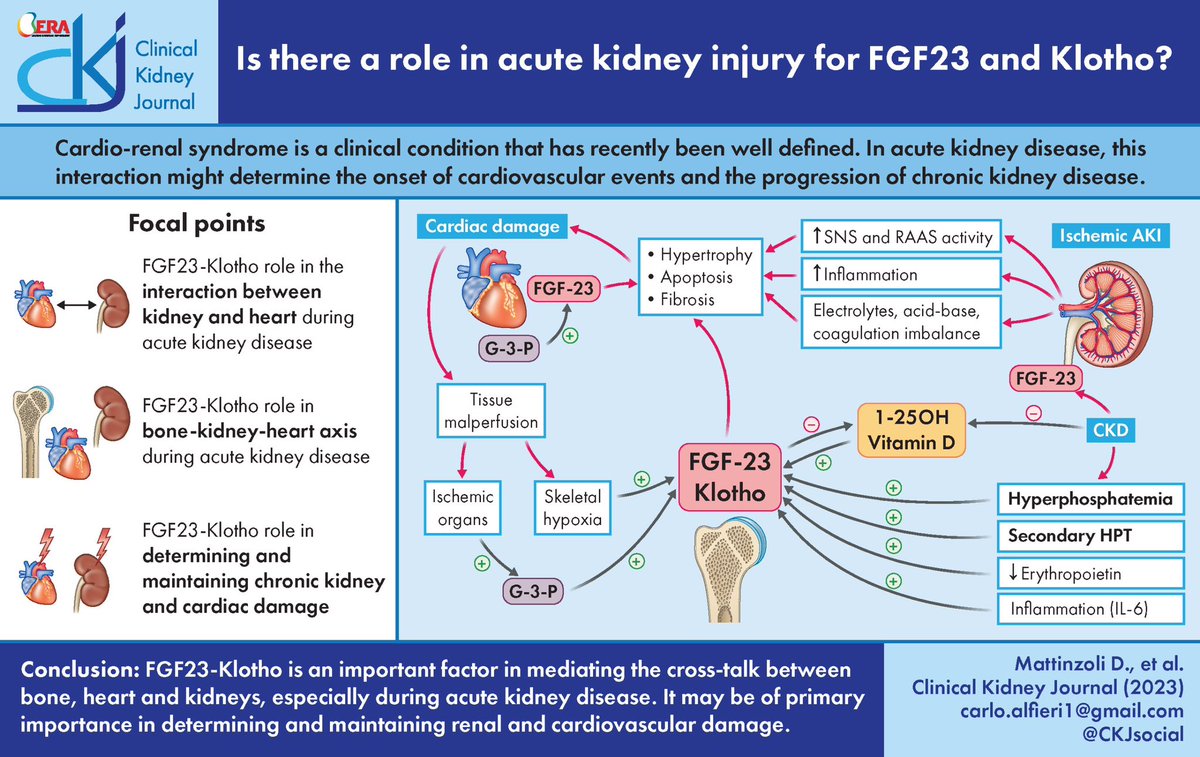 Does #FGF23 and #AKI play a role? We tell you about it in our recent publication academic.oup.com/ckj/advance-ar… <a href="/JonathanNefro/">Jonathan Chávez</a> <a href="/bover_j/">JBover</a> <a href="/croncoIRRIV/">Claudio Ronco</a> <a href="/hgermanstrias/">Hosp. Germans Trias</a> <a href="/susalloret/">Susa lloret</a> <a href="/PepaSolerR/">Maria Jose Soler</a> <a href="/SENefrologia/">S.E.N. Nefrología</a> <a href="/ERAkidney/">ERA - European Renal Association</a>
