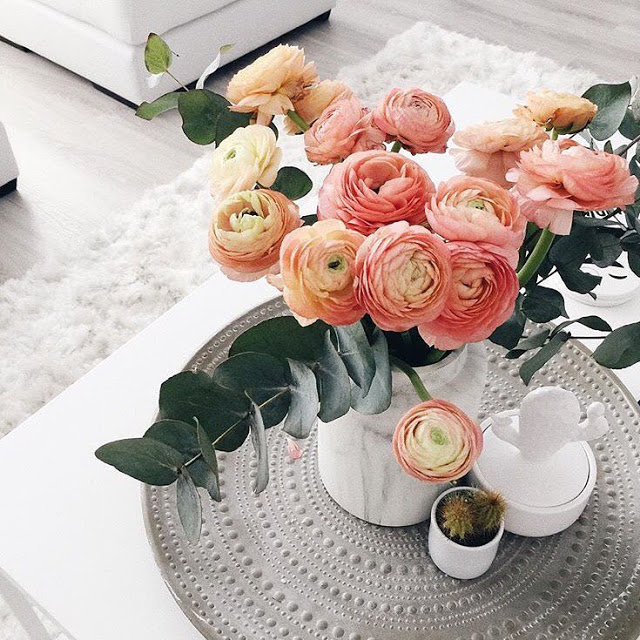 A todo Confetti tweet media