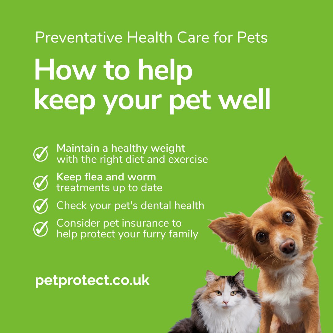 Prevention is better than cure, here are some tips to help keep your pet as healthy as possible and potentially avoid a trip to the vets

#petcare #doghealth #cathealth #pethealthcare #healthypets #petlovers #doglovers #catlovers #vets #fridayfeeling #friday #weekend #dogs #cats