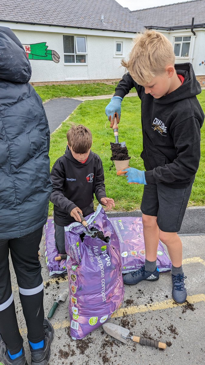 MorfaRhianedd's tweet image. Plannu hadau pwmpen ar gyfer yr Hydref ☺️

Planting pumpkin seeds ready for Autumn harvest ☺️

#Wythnosdysguawyragored
 @NatResWales @_OLW_
