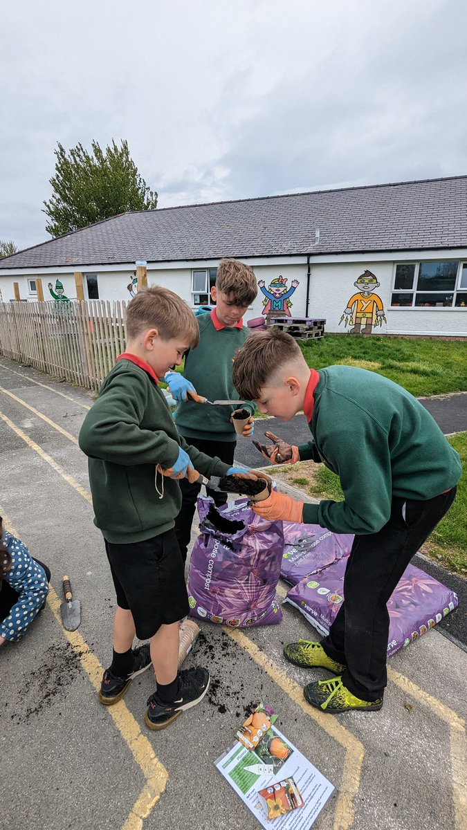 MorfaRhianedd's tweet image. Plannu hadau pwmpen ar gyfer yr Hydref ☺️

Planting pumpkin seeds ready for Autumn harvest ☺️

#Wythnosdysguawyragored
 @NatResWales @_OLW_
