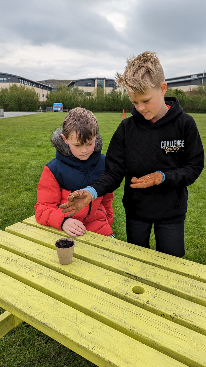 MorfaRhianedd's tweet image. Plannu hadau pwmpen ar gyfer yr Hydref ☺️

Planting pumpkin seeds ready for Autumn harvest ☺️

#Wythnosdysguawyragored
 @NatResWales @_OLW_
