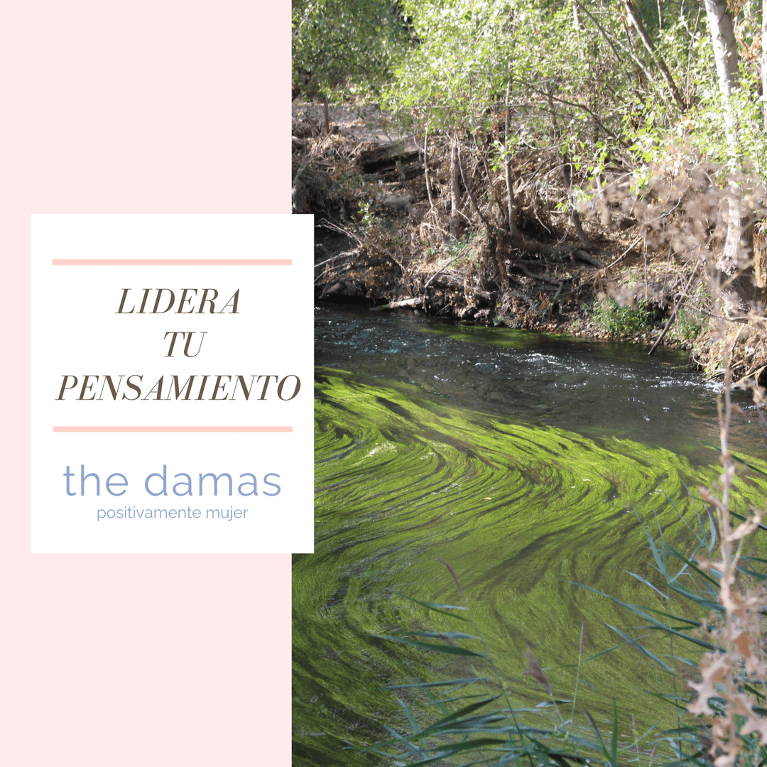 TheDamasBlog's tweet image. Lidera tu pensamiento blgs.co/XZf69m