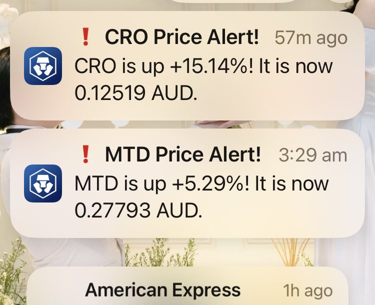 David.CRO (MERYCOIN👻) tweet media