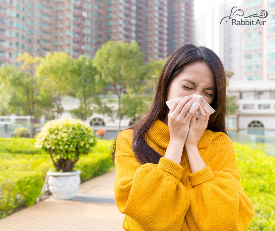Pollen allergies affect more than 30 million people in the US which causes wheezing, sneezing, and other unpleasant reactions. 

Choose our true HEPA air purifiers to help you during this season and have a cleaner air at home.

#hepafilters #rabbitair #allergyseason #spring
