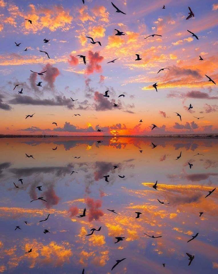 RincnCuriosoo's tweet photo. Cuando la tierra y el cielo se hacen uno mismo 📷 https://t.co/EcXCQ9g4ZE