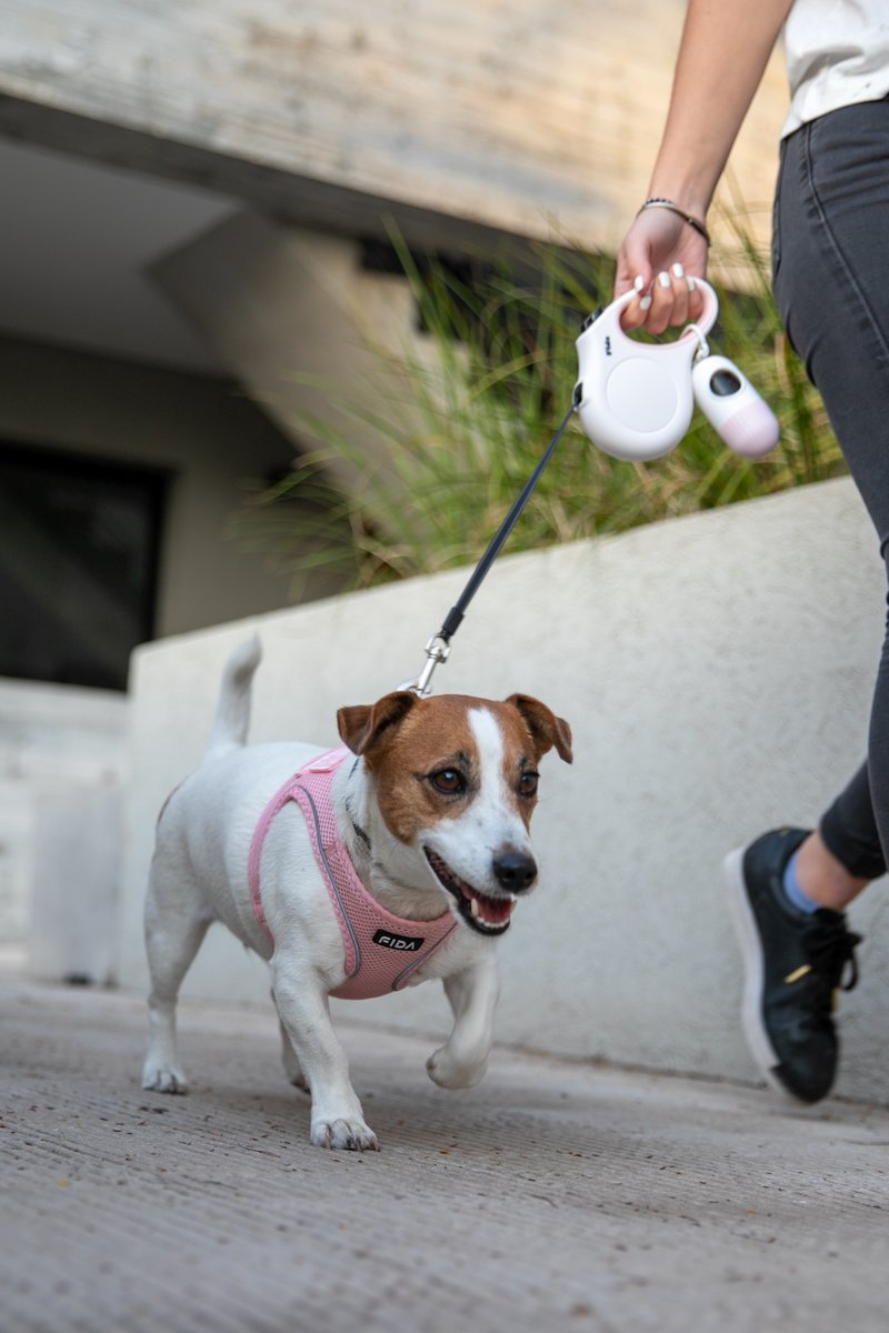 Fidapetus's tweet photo. 🐶: I love walking with my master!
#FIDA #leash #dogleash #harness #dogharness #dog #doglover #doglovers #dogoftheday #doglife #dogmodel #doglove #dogphotography #ilovemydog #pet #petlover #cutedogs #travel #outdoorphotography #petsupplies #naturephotography https://t.co/meRDQUfmIx