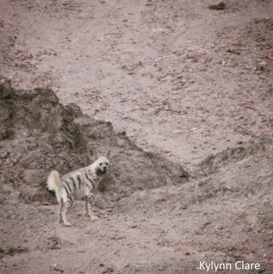 HourlyYeen's tweet photo. [🔗](https://t.co/nBqMzRXl1O) https://t.co/hq0nOdAsOZ