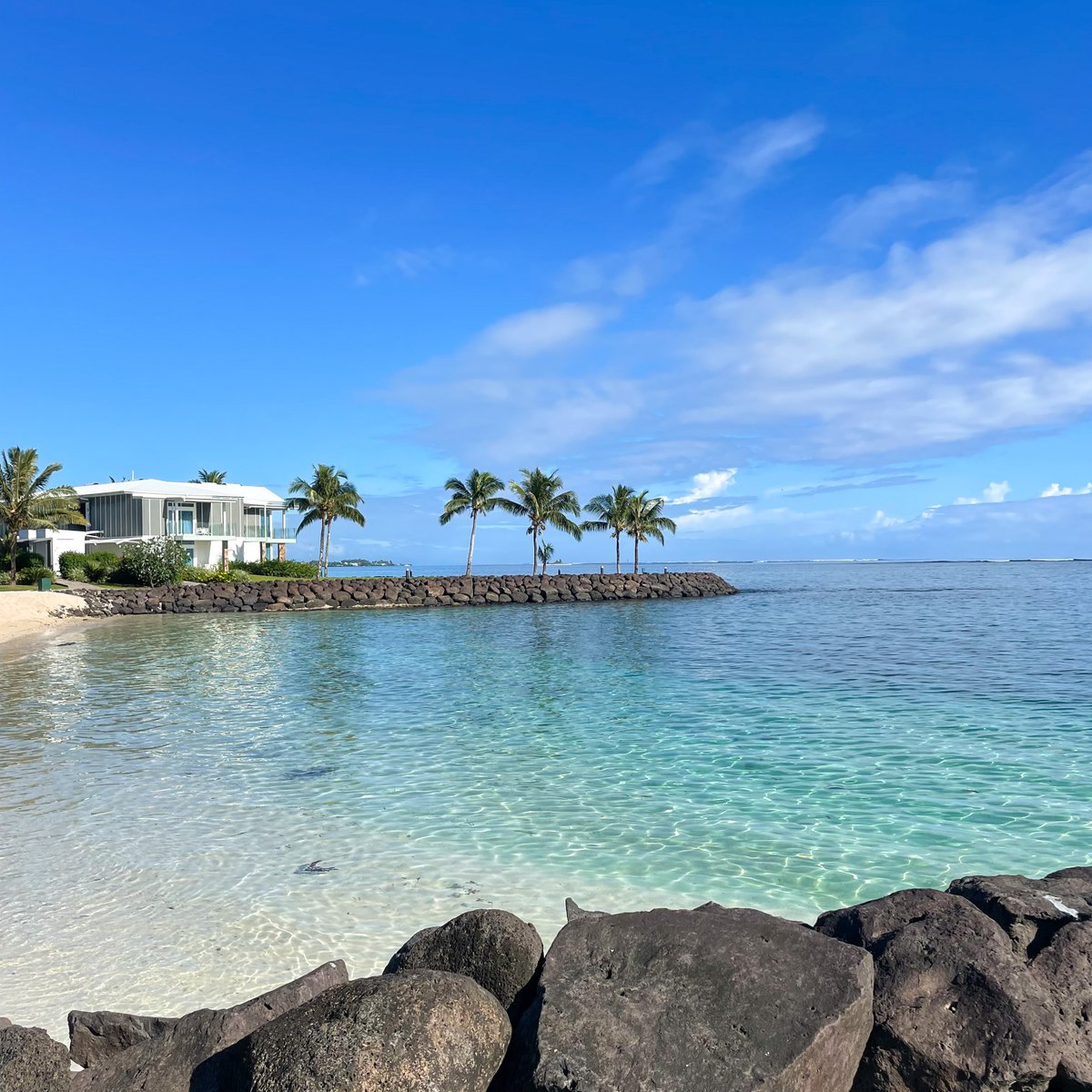 UNE International Capacity Building tweet media