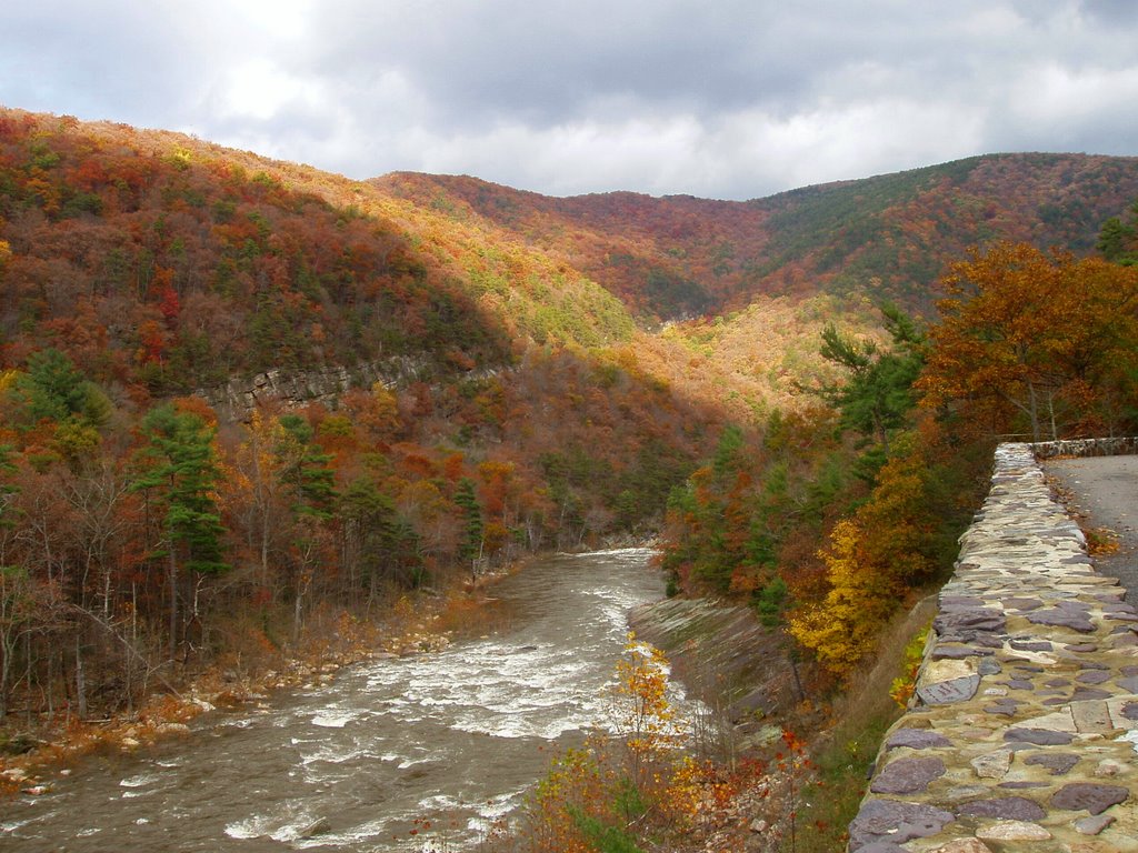 #virginia #virginiahikes #blueridge #water #river #fishing #camping #outdoors #outdoorfun #rockbridgecounty #goshen #goshenpass