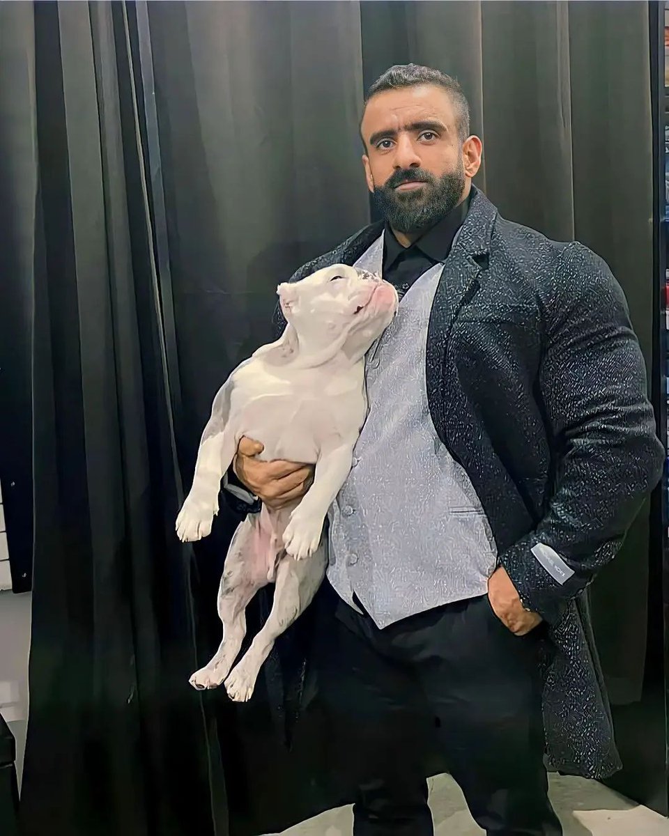 Hadi Choopan tweet media