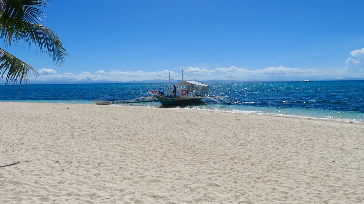 MabalsaRitchie's tweet photo. Dive Boat.. https://t.co/K4qEQjghTJ