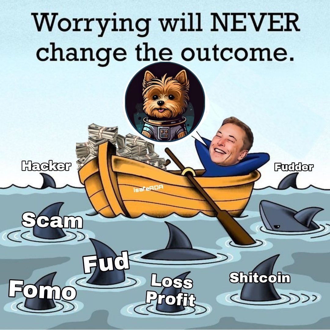 heimeey's tweet photo. @Hobbes_ETH #HOBL SOME #HOBBES love what the team has in store for the future, huge potential. I can't wait 💫 https://t.co/uMwqYxfuAf