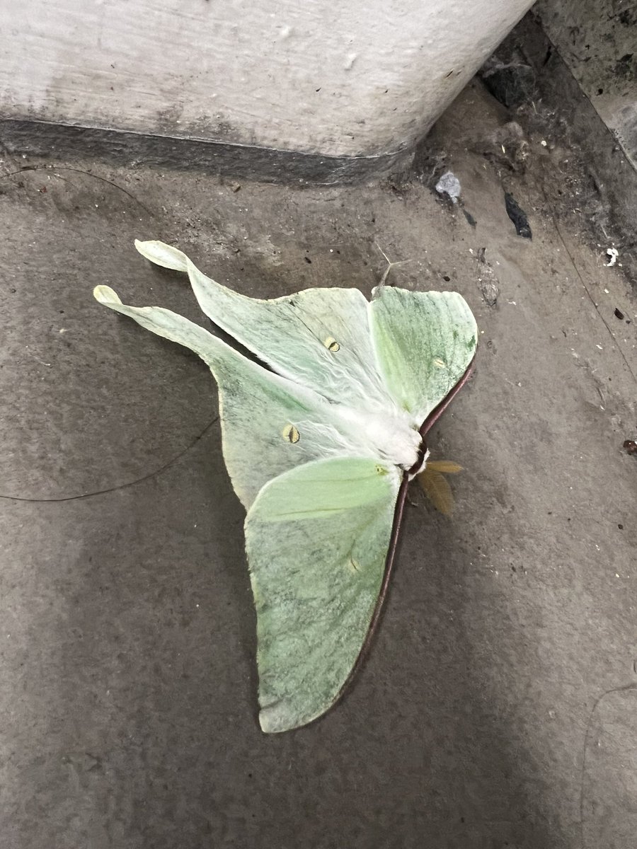 初めて見た
美しかった