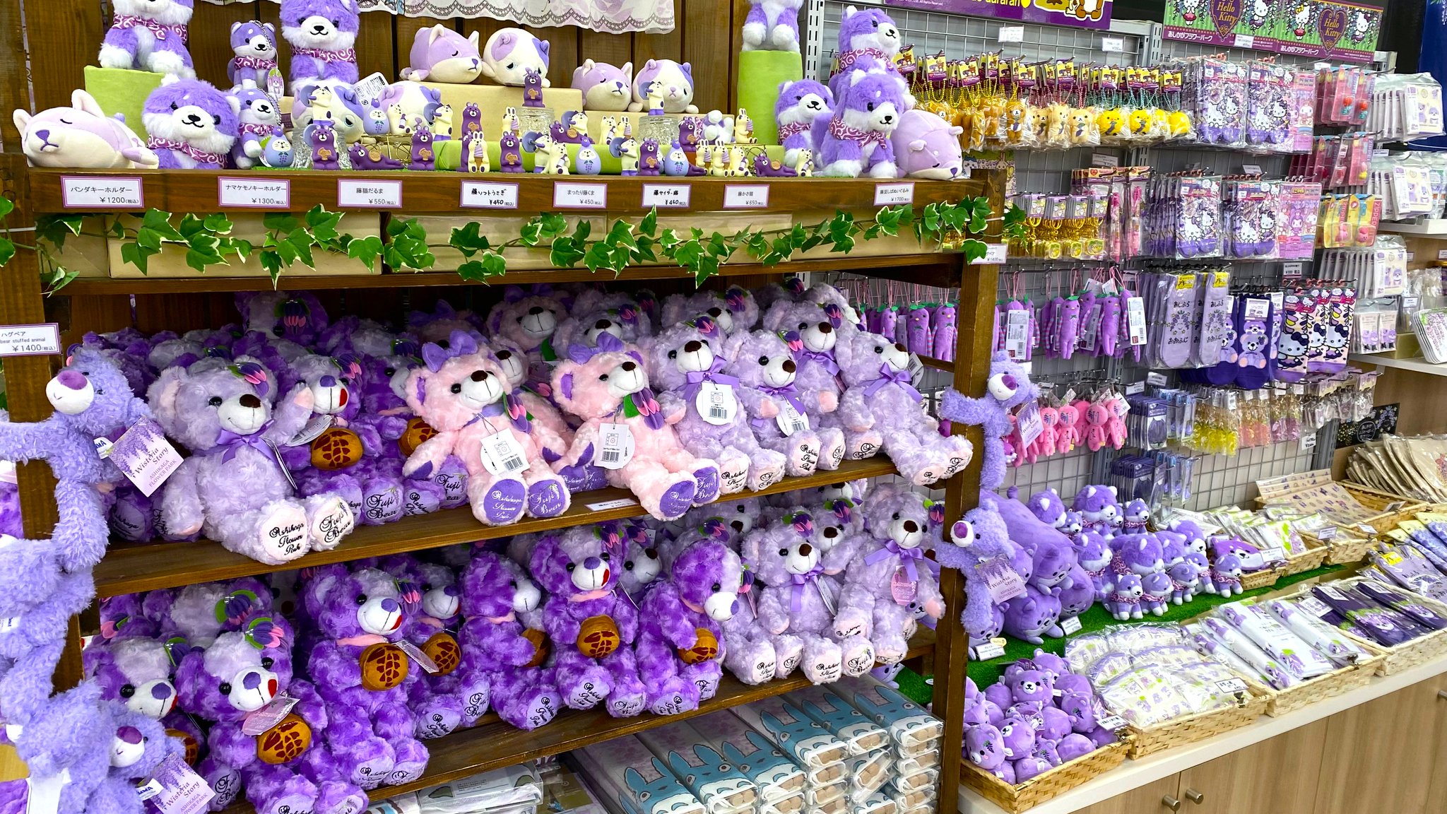 あしかがフラワーパーク【公式】 on X: 