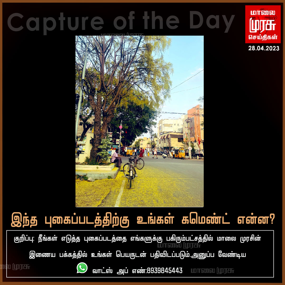 MalaimurasuTv's tweet photo. இந்த புகைப்படத்திற்கு உங்கள் கமெண்ட் என்ன?

#Captureoftheday | #Malaimurasu https://t.co/Viapm3745m