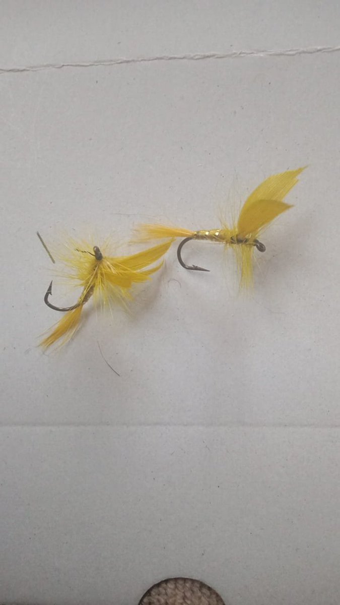 MaxedVentures's tweet photo. Hooked on fishing? Reel in the big catch with our premium fishing flies! Hand-tied to perfection, our flies are designed to attract and entice even the wiliest of fish.
#Crypto 
#cryptocurrency 
#Richardson 
#zidane
#NancyXTiffany 
#FreakyGirl 
#WeAreTexans https://t.co/rior3t4qXN