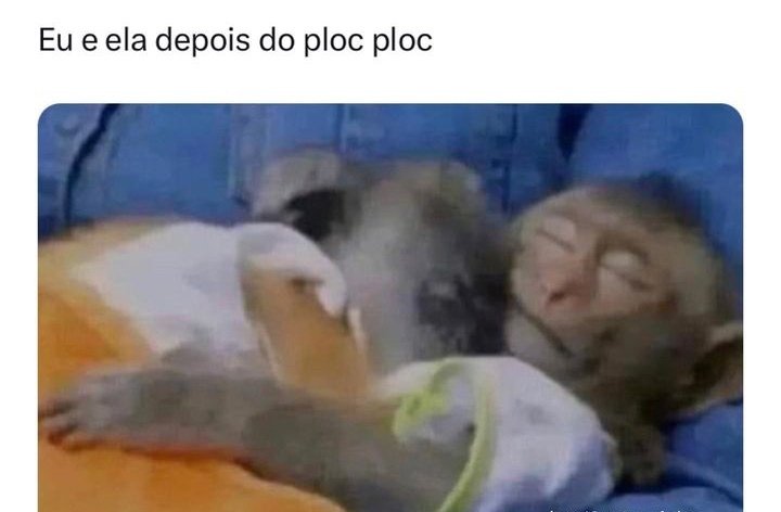 coquinho tweet media