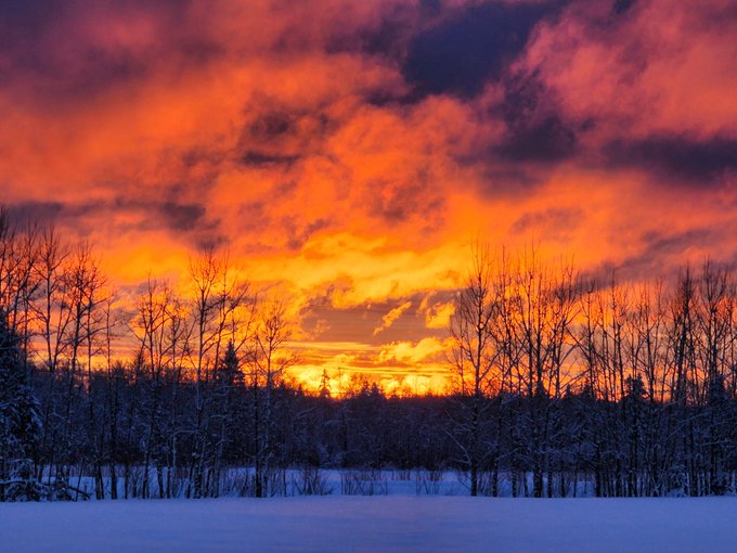 MaverickAn45347's tweet image. 