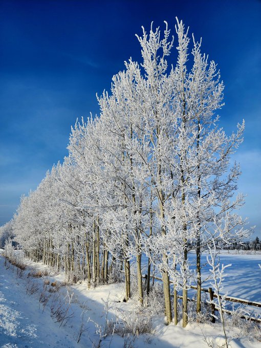 MaverickAn45347's tweet image. 