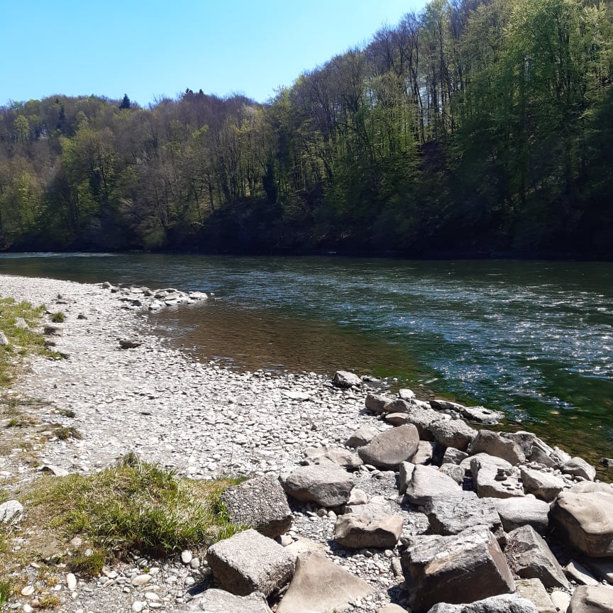 MaverickAn45347's tweet image. 