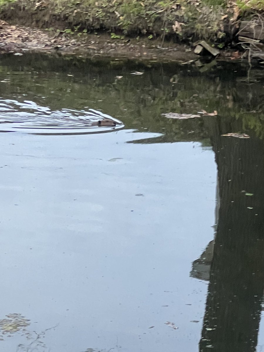 Allentown1711's tweet photo. Great ride, beautiful day .... made new friends & saw my Bwird friend & an otter swimming about. π΄π»ββοΈπ΄π»ββοΈπ΄π»ββοΈπ΄π»ββοΈπ«πβοΈ #BikeLife #AprilMiles #BlessedBeyondMeasure https://t.co/7YPIX3f5xJ