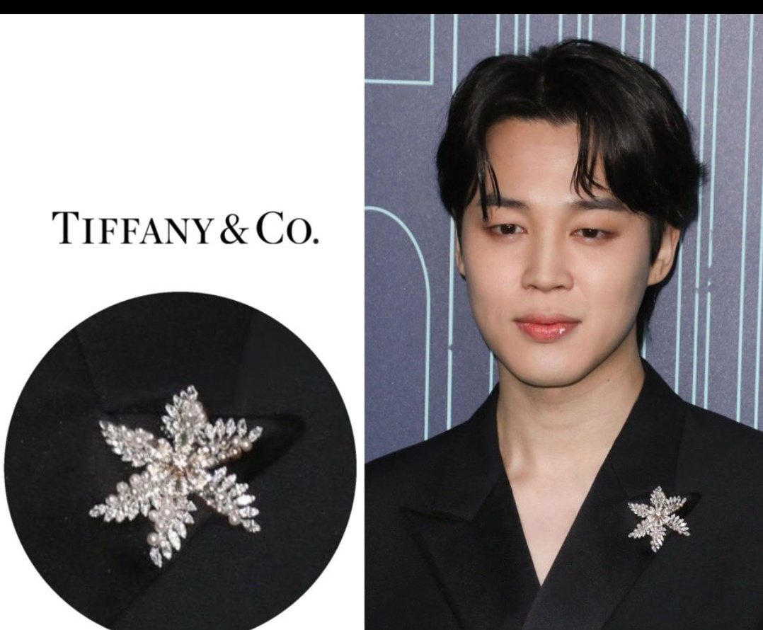 Opening of The Landmark at 727 Fifth Avenue, New York [230427]

• Tiffany & Co. diamond and pearl brooch 

This is a vintage Schlumberger piece or inspired to the starfish/epiné designs by Schlumberger

#JIMIN #JiminXTiffanyAndCo
#TheTiffanyLandmark #JiminJewelryBox #지민
