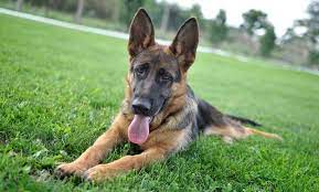 MaverickAn45347's tweet image. 